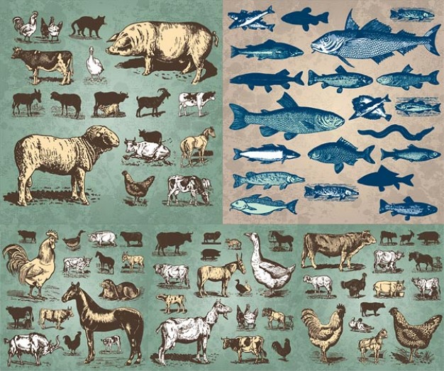 animals marked including poultry Marine wild