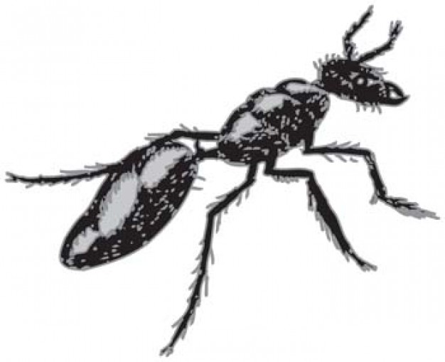 ant crawling clip art in side view