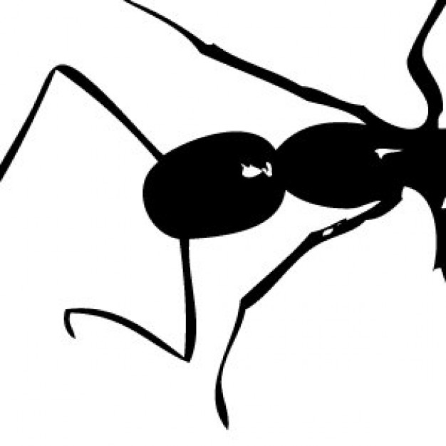 ants body silhouette in black