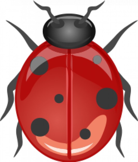architetto coccinella Ladybug clip art in top view
