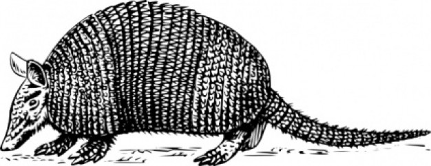 armadillo clip art in side view