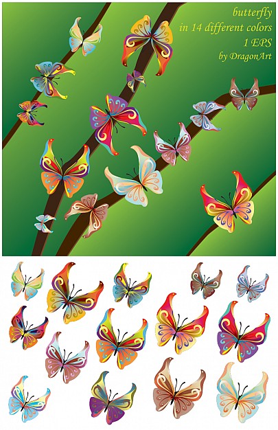 beautiful butterflies flying on the branch in different colours