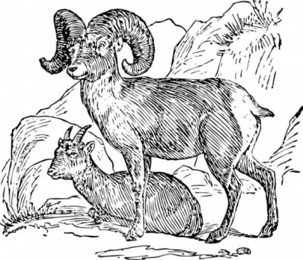 bighorn sheep clip art with mountain background