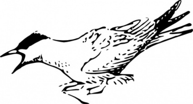 bird clip art squeeking in side view