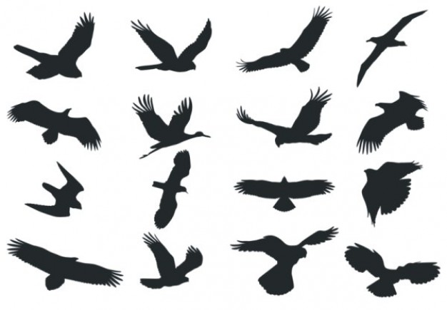 bird silhouette material flying over white background