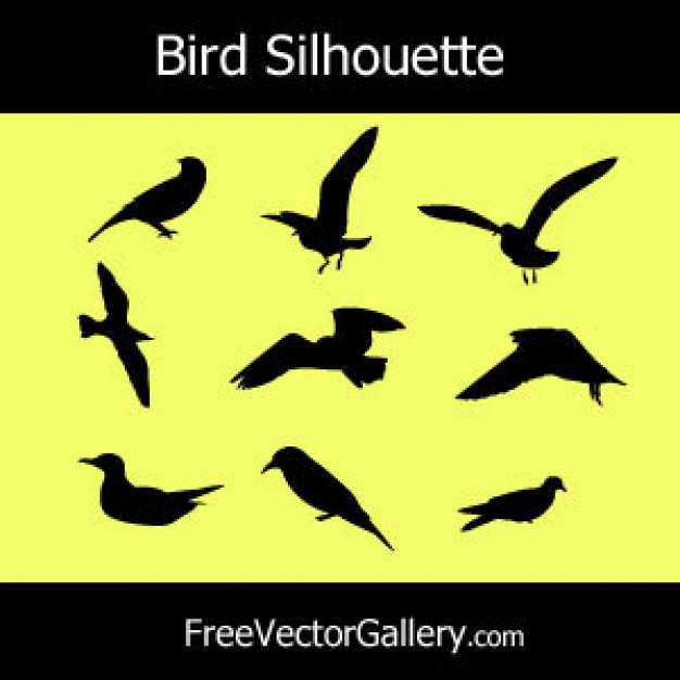 bird silhouettes over yellow background