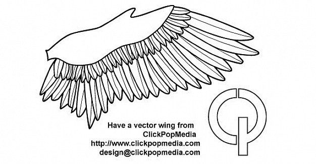 bird wing clip art