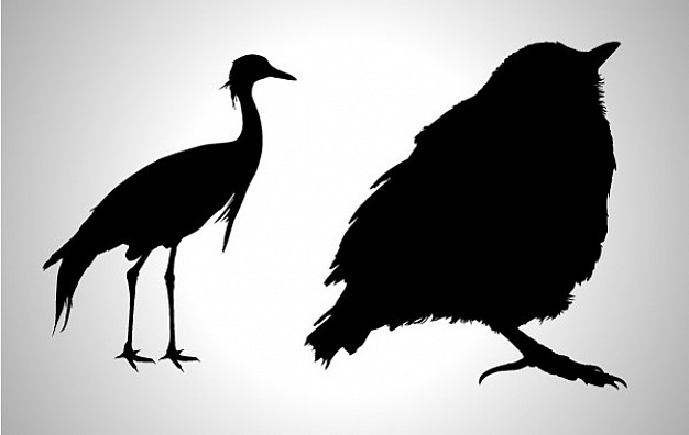 birds silhouette including crane and sparrow