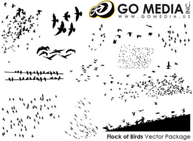 birds silhouette material  produced  by go media