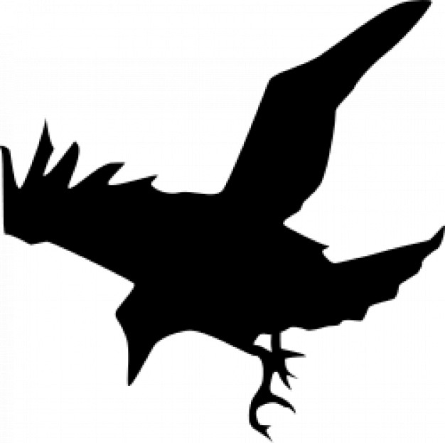 black raven hunting silhouette