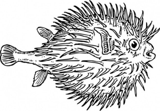 blowfish clip art with many pokes in side view