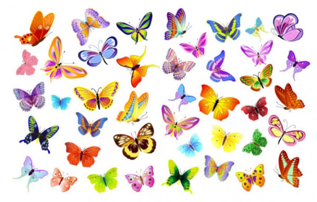butterflies designs pattern in many colors