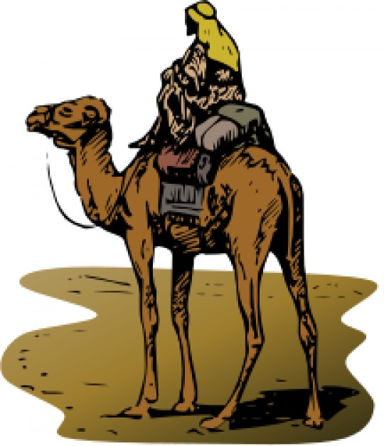 camel walking on Desert with rider