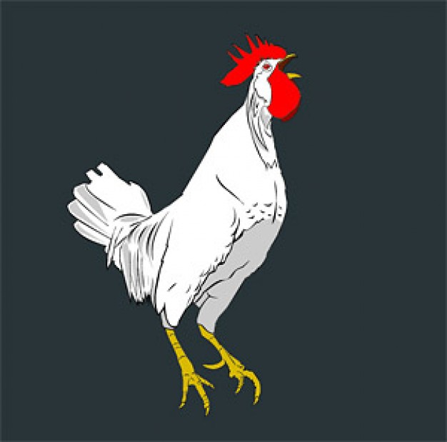 cock with red comb and yellow feet material