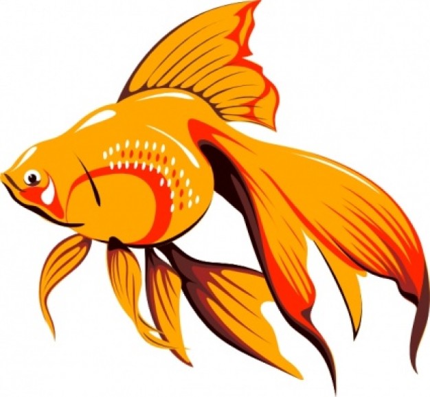 colorful golden fish clip art in side view