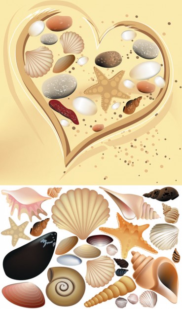 colorful shell material with seastar stone in heart figure