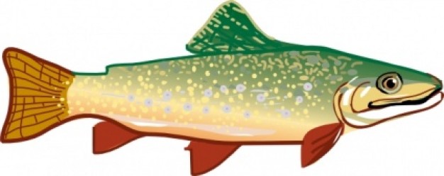 colorful trout clip art in side view
