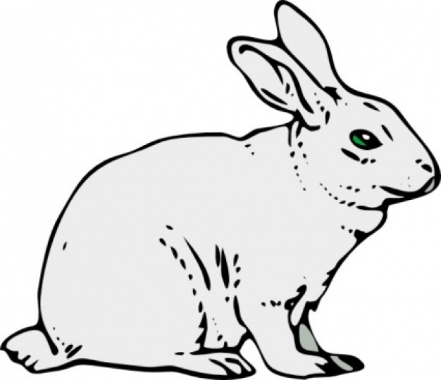 coniglio rabbit clip art in side view