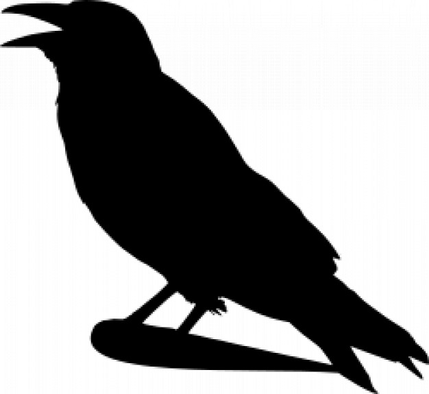 crow silhouette in side view