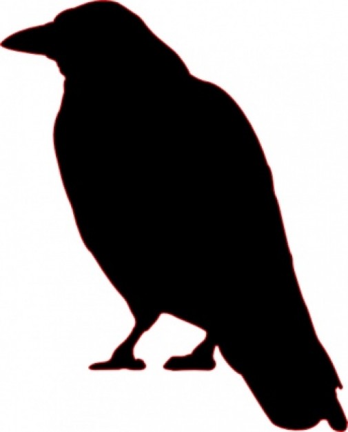 crow silhouette standing in back view