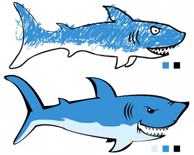 two sharks with White background