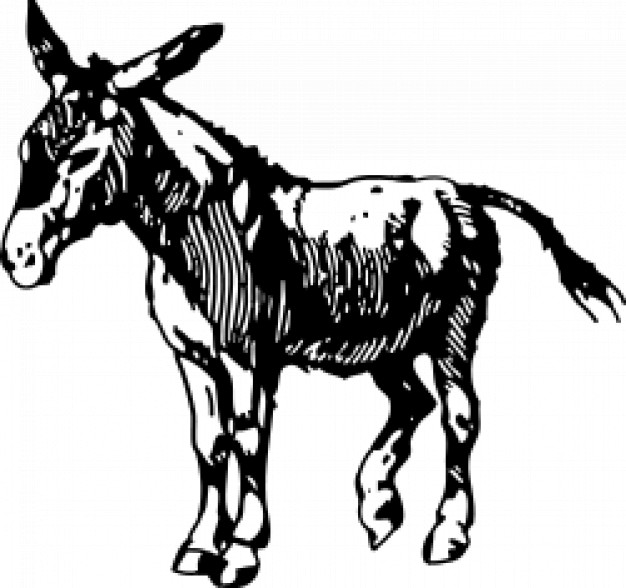 donkey outline in side view