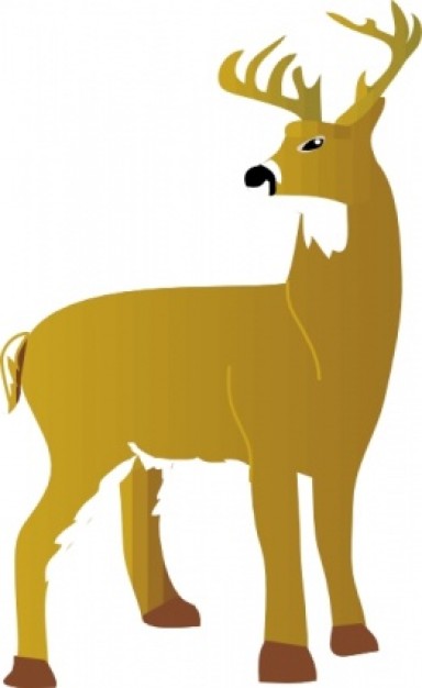 earth yellow dear with white tailed clip art