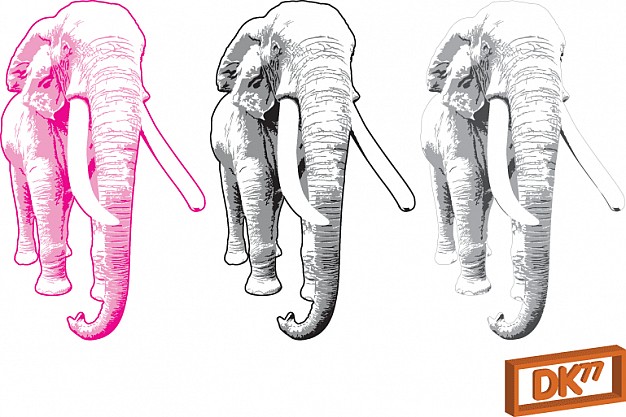 elephant clip art in front view