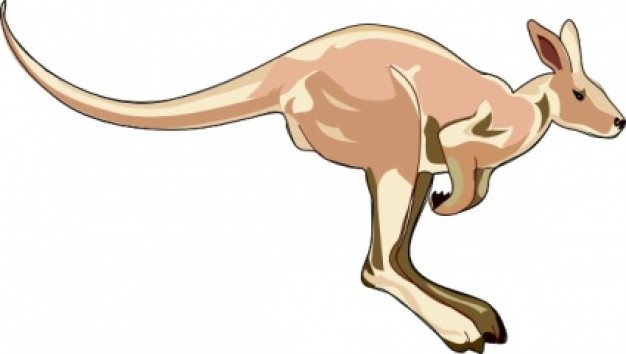 brown kangaroo clip art with  background