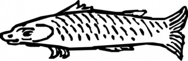 fish clip art in side view