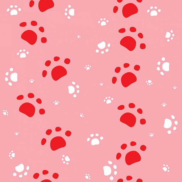 follow me with footprints over pink background