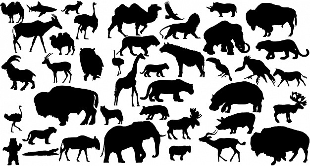 forty one animal silhouette with elephant lion