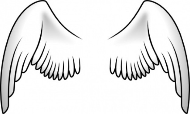 wings clip art with White background