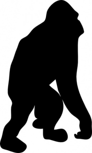 gorilla walking silhouette in side view