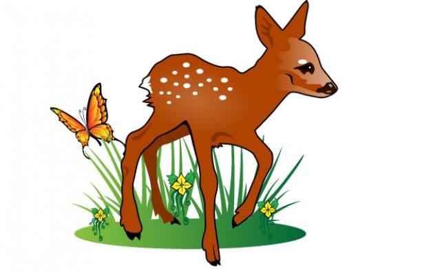 young deer illustration and grass with White background