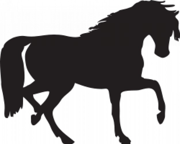 horse silhouette walking in side view