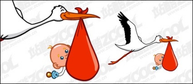 baby and flying cranes birds material with white background