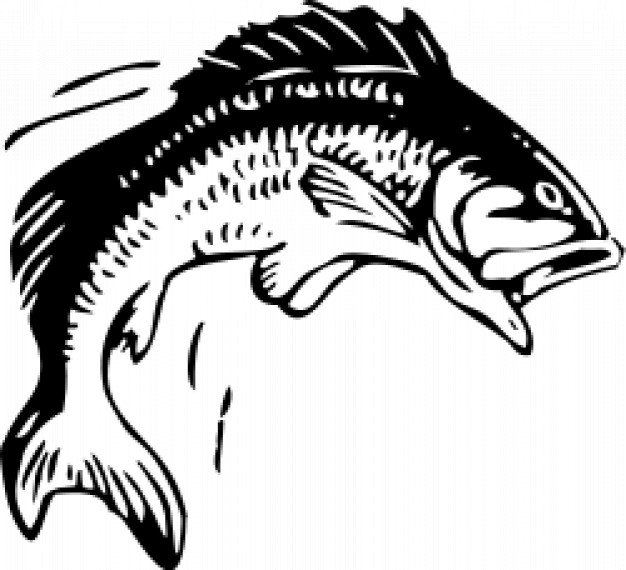 jumping fish with water clip art in side view