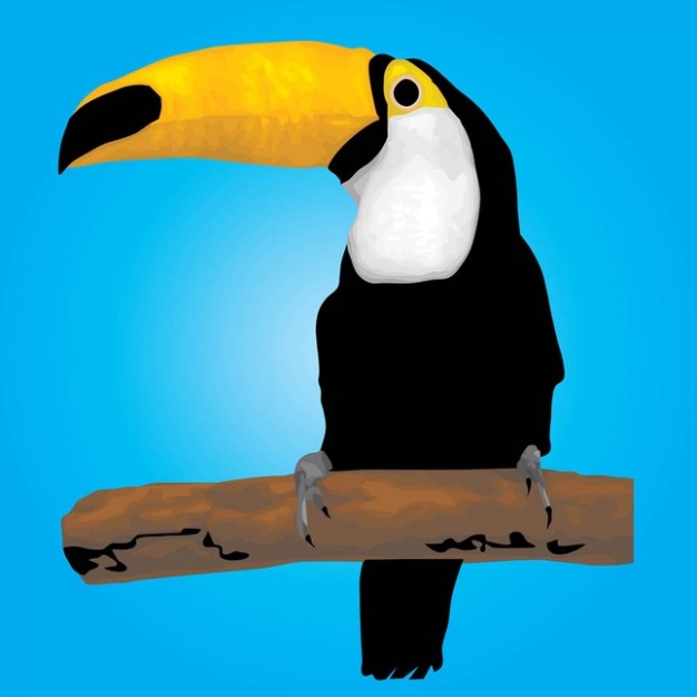 toucan bird with blue background