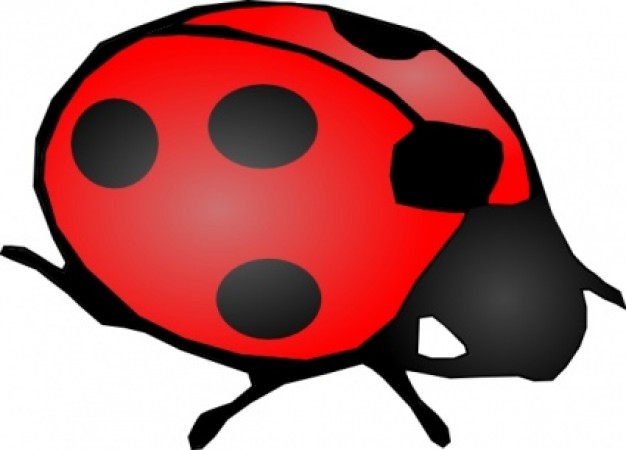 ladybug clip art in top view
