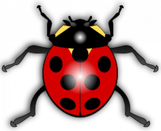 ladybug with red back and black spots