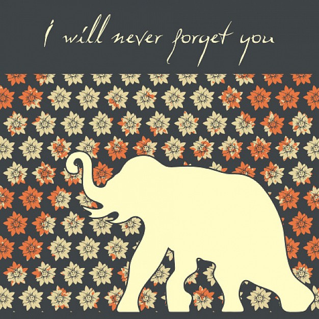 never forget you card pattern with elephant walk over flower wall