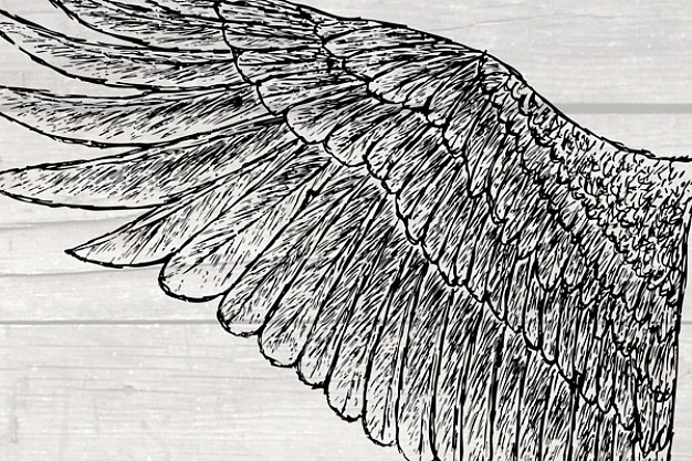 one piece of wing clip art drawn by hand