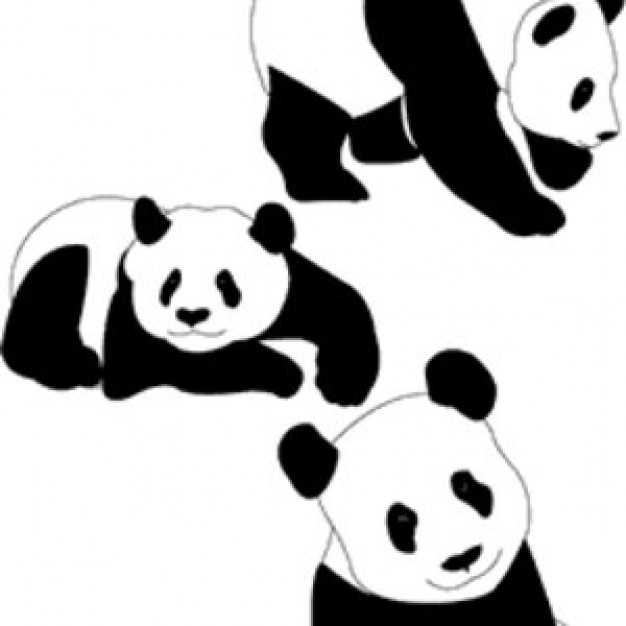 panda bears pattern with different actions