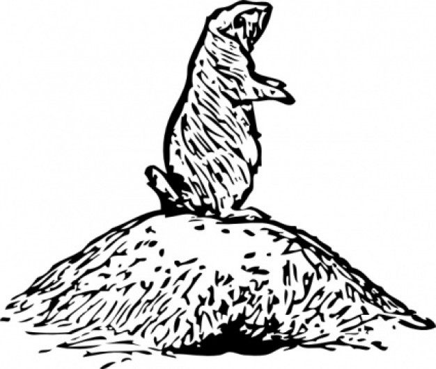 prairie dog standing on rise clip art