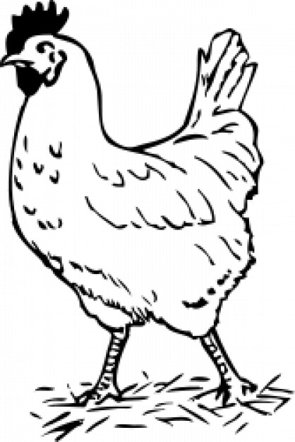 rooster walking clip art