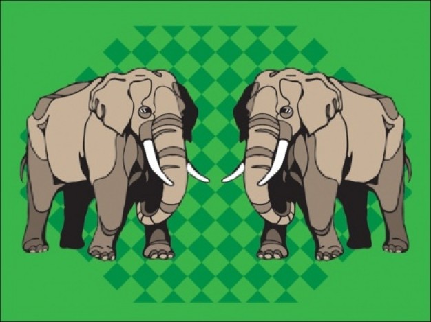 couple elephant with green background