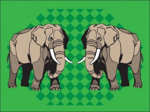 couple elephant with green background