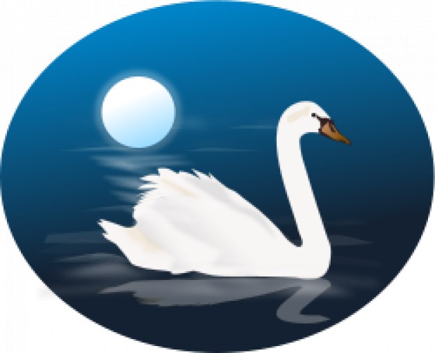 swan swim over lake with moon background