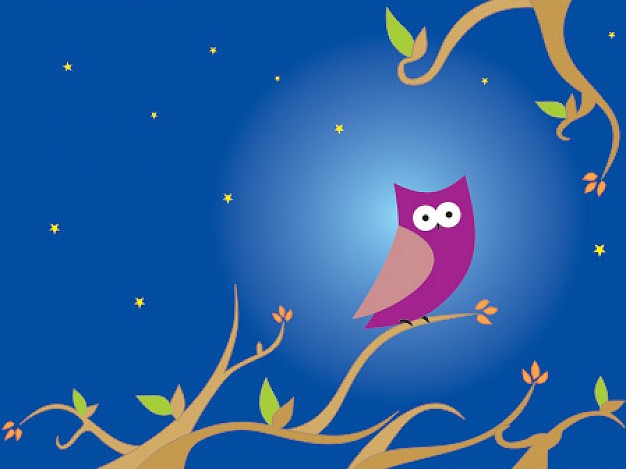 the night owl on the branch with star background